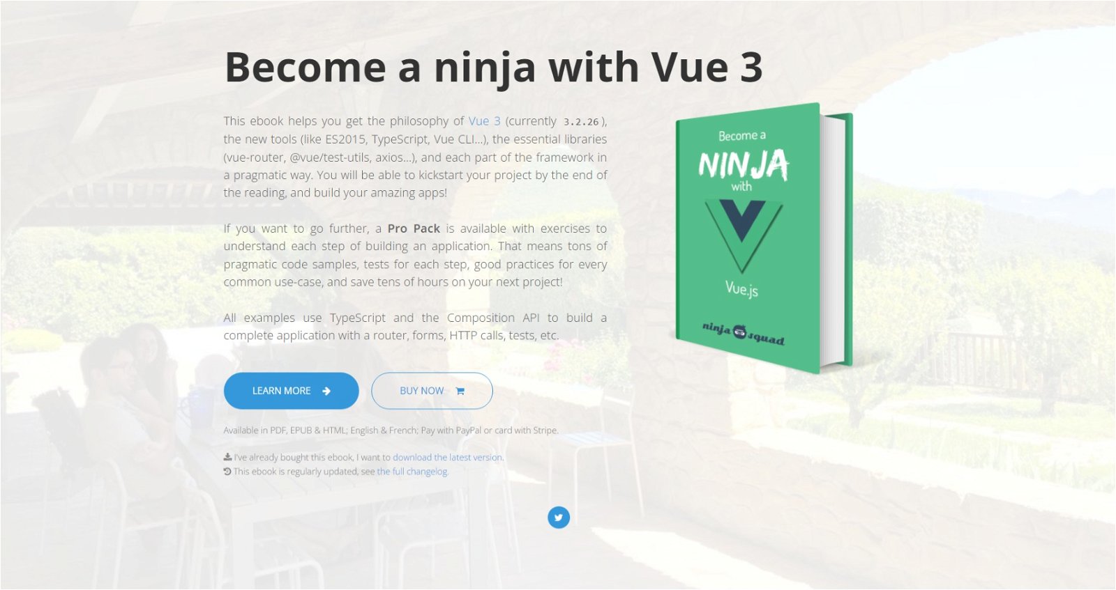 Become a ninja with vue 3